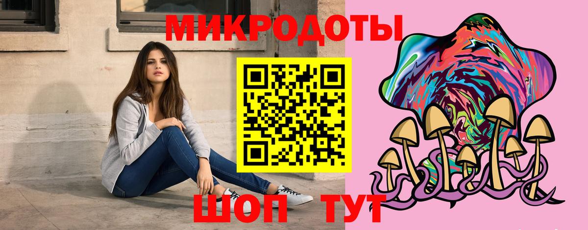 Галлюциногенные грибы Psilocybine cubensis Псков